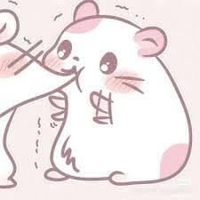 毛衣